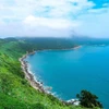 岘港市开发山茶半岛旅游潜力