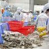越南力争2023年虾类出口额达43亿美元