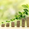 经济专家：越南应制定吸收国际绿色资金的专项金融政策