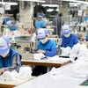 欧盟和美国因新冠肺炎疫情暂停订货 越南纺织行业如何应付