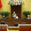 越南国会主席阮氏金银：创造新动力 实现国家可持续发展
