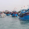 越南广南渔民严格遵守法规 努力解除IUU黄牌警告