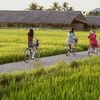 越南首都河内：打造并连接农业乡村旅游产品