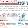 图表新闻： 越南与CPTPP成员国的进出口状况简介 