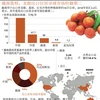 图表新闻：越南荔枝、龙眼出口位居全球市场份额第二