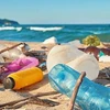 越南成为海洋塑料污染全球协议建设进程中的先锋