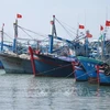 解除IUU“黄牌警告”：越南渔业界下定决心打击非法捕捞
