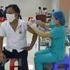 越南卫生部指出，越南未将新冠肺炎视为地方性流行病