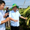 越南农业与农村发展部部长：为农业发展开拓新空间
