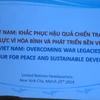 越南是努力解决战争遗留问题并快速走上新发展时期的典范