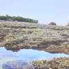 富安省需加强对燕岛珊瑚礁的保护措施