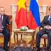 越南政府总理阮春福与俄罗斯总理梅德韦杰夫举行会谈
