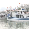 公交船 ——下龙湾的新颖旅游服务