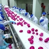 越南水果行业贮藏保鲜技术有待加强