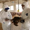 组图：海阳省主动采取禽流感防控措施