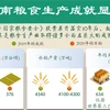 图表新闻：越南粮食生产成就显著