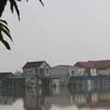 组图：乂安省洪水消退缓慢 数千名学生暂时无法上学