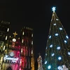 组图：巨型圣诞树星光绽放 为首都河内点亮整个冬季