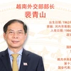 图表新闻：裴青山被任命为越南外交部部长