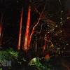 组图：闪闪发光的萤火虫为菊芳国家公园平添一股浪漫气氛