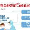 图表新闻：越南紧急批准的5种新冠疫苗