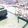 越南最大国际集装箱枢纽港保障疫情期间货物通关顺畅
