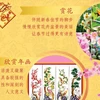 图表新闻：越南传统春节之雅趣