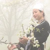 宣光省鸿泰梨花节开幕在即 梨花绽放如雪景色迷人