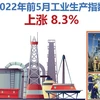 图表新闻：2022年前5月工业生产指数上涨8.3%