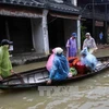 水灾造成中部和西原地区经济损失高达6080亿越盾（图片来源：越通社）