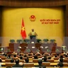越南第十四届国会第一次会议