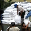 越南政府给12省发放大米（图片来源：越通社）