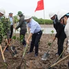 各位代表参加在太瑞县沿海红树植树活动（图片来源：越通社）