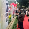 许多观众前来参加第十四届越南诗歌日活动（图片来源：越共电子报）
