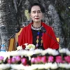 缅甸国家顾问兼外交部长昂山素季