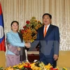 胡志明市市委书记丁罗升会见老挝国会主席巴妮·雅陶都（图片来源：越通社）