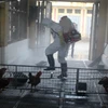 人感染甲型H7N9禽流感防控演练现场（图片来源于《新报》）