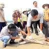 2016年4月份，越南中部河静、广平、广治和承天顺化4省出现大批鱼死亡现象。