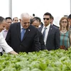 以色列总统参观访问越南永福省三岛VinEco高新技术农业应用投资项目