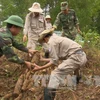美国“越南和平树组织”协助越南广治省克服战后遗留炸弹地雷后果。
