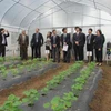 日本代表团到河南省考察农业领域的投资机会。（图片来源：因特网）