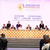 东盟各国领导出席第30届东盟峰会。（图片来源：越通社）