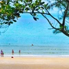 坐在阎浮树林观中赏明珠海滩的美景。