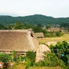从山腰俯瞰的板榻村一角。该村有一百多栋岱族人顶盖葵叶的高脚屋。