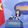 越南外交部发言人：未收到英国伦敦公寓楼火灾越南人伤亡的报告