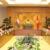 越南国会主席阮氏金银与柬埔寨国会主席韩桑林举行会谈。（图片来源：越通社）