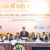越共中央经济部部长阮文平在会议上发表讲话（图片来源：越通社）