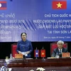 老挝国会主席巴妮·亚托杜发表讲话。（图片来源：越通社）