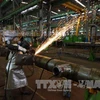 瓦尔德 （VARD）船厂计划招聘300名越南焊接工人和钢铁工人。