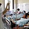 越南全国报告的登革热病例5万例。（图片来源：越通社） 